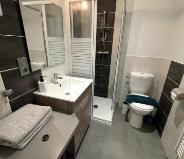 Le Puy-en-Velay Apartment | Studio - Travail & Détente - Puy