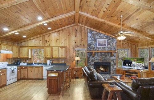 Blue Ridge Cabin | Stunner in ASKA! 🐶friendly 🌄views-Ask About Weekly Discount