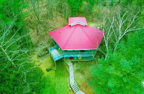 Brighton House | Stunning all season Cottage surrounded by nature!