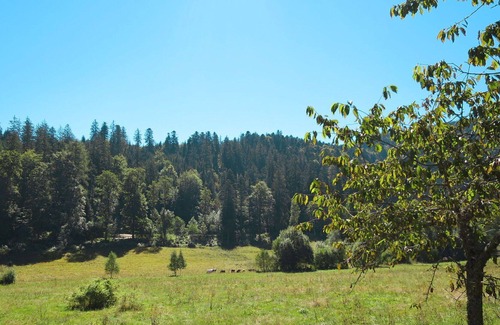 Hinterzarten Villa | Stunning villa for 6 guests with WIFI, TV, patio and parking