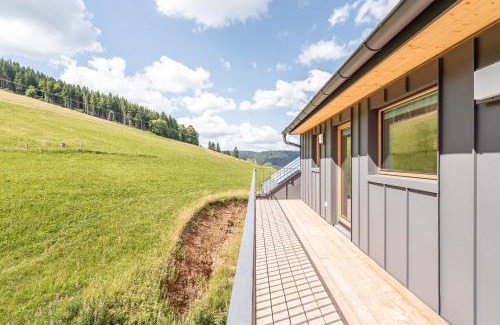 Todtnauberg Apartment | stuub todtnauberg