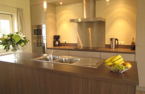 Zuidzande House | Stylish Holiday Home in Zuidzande with Sauna