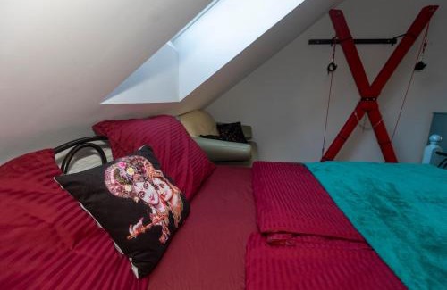 Hradec Kralove Apartment | Stylish new "PLAYGROUND" flat with Bondage Cross & Private fitness in new family house