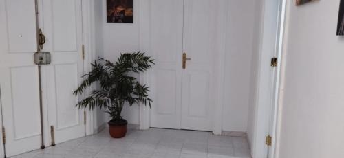 Las Palmas de Gran Canaria House | Suite Tati