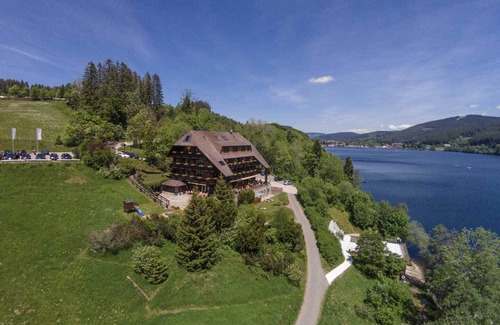Hinterzarten Apartment | Suite with shower/WC