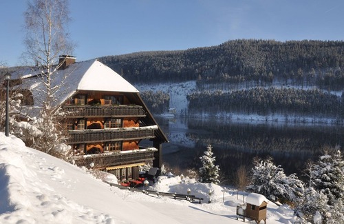 Hinterzarten Apartment | Suite with shower/WC