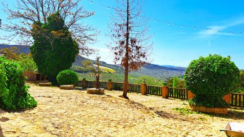 Algarinejo House | Suitur Cortijo de Don Lolo