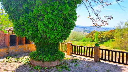 Algarinejo House | Suitur Cortijo de Don Lolo
