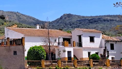 Algarinejo House | Suitur Cortijo de Don Lolo