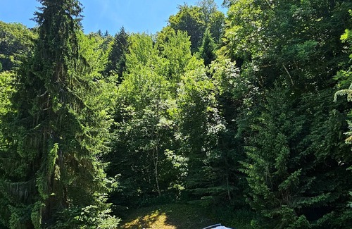 La Riviere-Enverse Apartment | Summer/winter rental, cosy apartment Haute-Savoie - peaceful location - friends/family