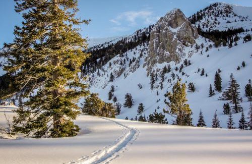 Mammoth Lakes Apartment | Summit 80