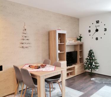 Kopaonik Apartment | Sunčani Breg apartman 10