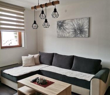 Kopaonik Apartment | Sunčani Breg apartman 10