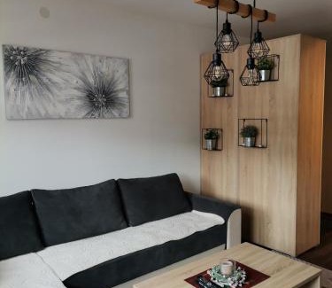 Kopaonik Apartment | Sunčani Breg apartman 10