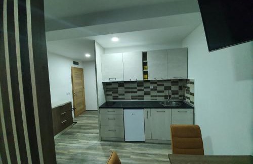 Kopaonik Apartment | Sunčani breg resort&spa Kopaonik Studio Apartmani