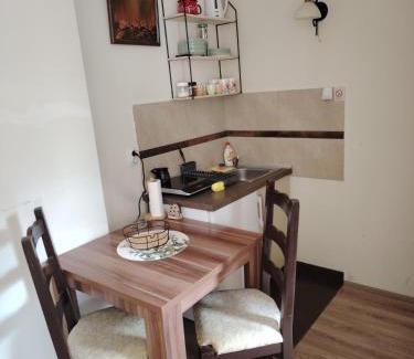 Ribarska Banja Apartment | Sunce