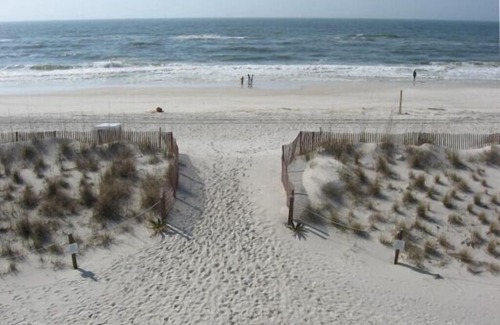Gulf Shores Condo | Sunchase 203 - Just 'Feet' from the Beach - Updated and Family-Friendly