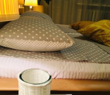 Solomjanskyj Apartment | Sunflower Apartment near Kiev airport & railway station & center city!