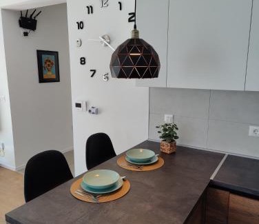 Zrenjanin Apartment | Sunflower Apartments