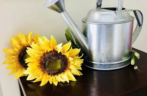 Katoomba House | Sunflower Cottage - relax with spa bath and fireplace