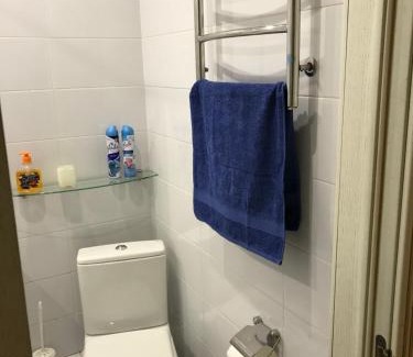 Pechers'kyi District Apartment | Sunny apartment overlooking the royal village