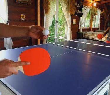 Petrovaradin House | Sunny Side Fruska Gora - veliko imanje sa kucom za odmor