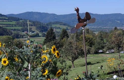 Oberried Apartment | Sunrise apartment 50 m², 1 bedroom - Maierhof 3 holiday apartments on a farm with a view