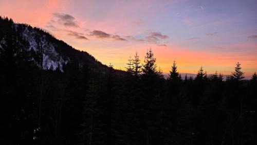 Jahorina Apartment | Sunset Pines Apt, Villa Mont