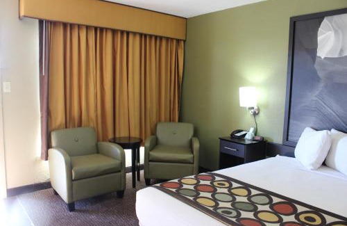 Flagstaff Hotel | Super 8 by Wyndham NAU/Downtown Conference Center