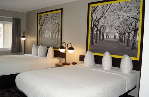 Traverse City Hotel | Super 8 by Wyndham Traverse City