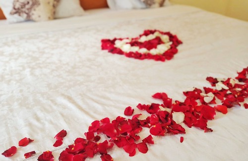 Denpasar Timur House | Super King Bedroom with Spa Bath, Garden View in Central Bali Location