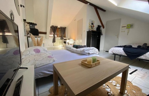 Montbeliard Apartment | Sur les toits-Gare-Centre ville-Idéalement situé