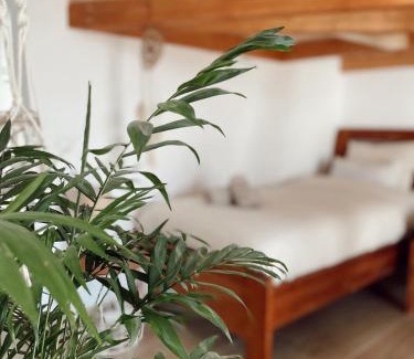 La Oliva Resort | Surf & Yoga Retreats Fuerteventura