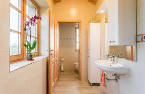 Mirova pod Kozakovem House | Svatá Panna