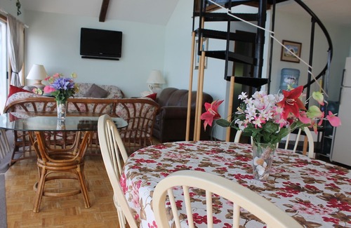 Sodus Point Cottage | (Swan) Caribbean cottage on Sodus Bay' Palm Trees,