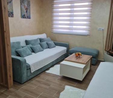 Kopaonik Apartment | SWAN Kopaonik