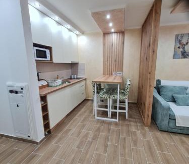 Kopaonik Apartment | SWAN Kopaonik
