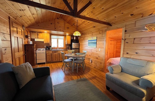 Mid-Coast and Islands Cottage | Sweet 1 bedroom cottage tucked along Harpswell Sound' shore, quiet location and wonderful views