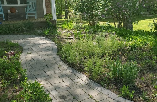 Niantic Cottage | Sweet Cottage in Beach Community