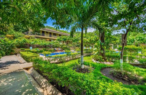 Playa Ocotal Hotel | Sweet Dreams #49