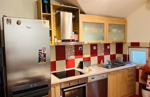 Cukarica Apartment | Sweet loft in Zeleznik