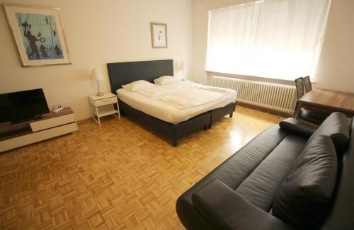 Basel Apartment | Swiss Star Basel Schweizergasse - Self Check-In