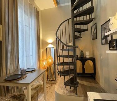 Montauban Apartment | T1 Duplex Cosy - Notre-Dame - Netflix
