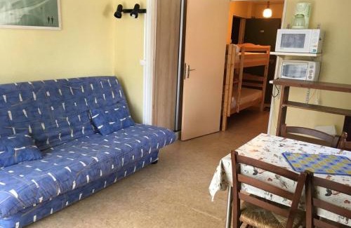 Laveissiere Apartment | T2 Lioran pieds des pistes