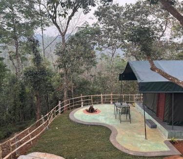 Mananthavady Other | Taiga Forest