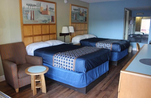 Bearss Plaza Hotel | Tampa Inn Near Busch Gardens
