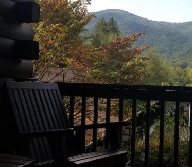 Maggie Valley Hotel | Tanglewood Motel and Log Cabins