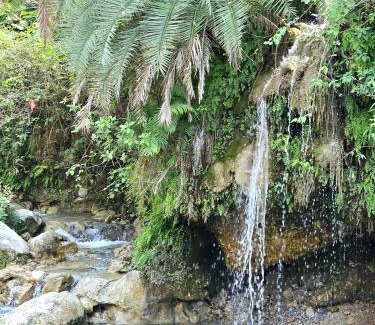 Tapovan Hotel | Tapovan Cascades Yogvillage Stay
