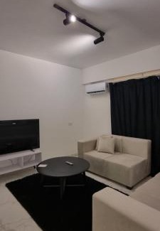 Sheikh Zayed City Apartment | Tara Home 2