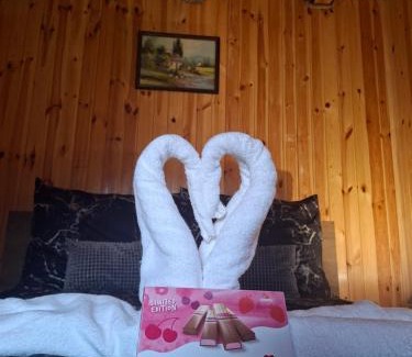 Sirok Apartment | TarnApartman